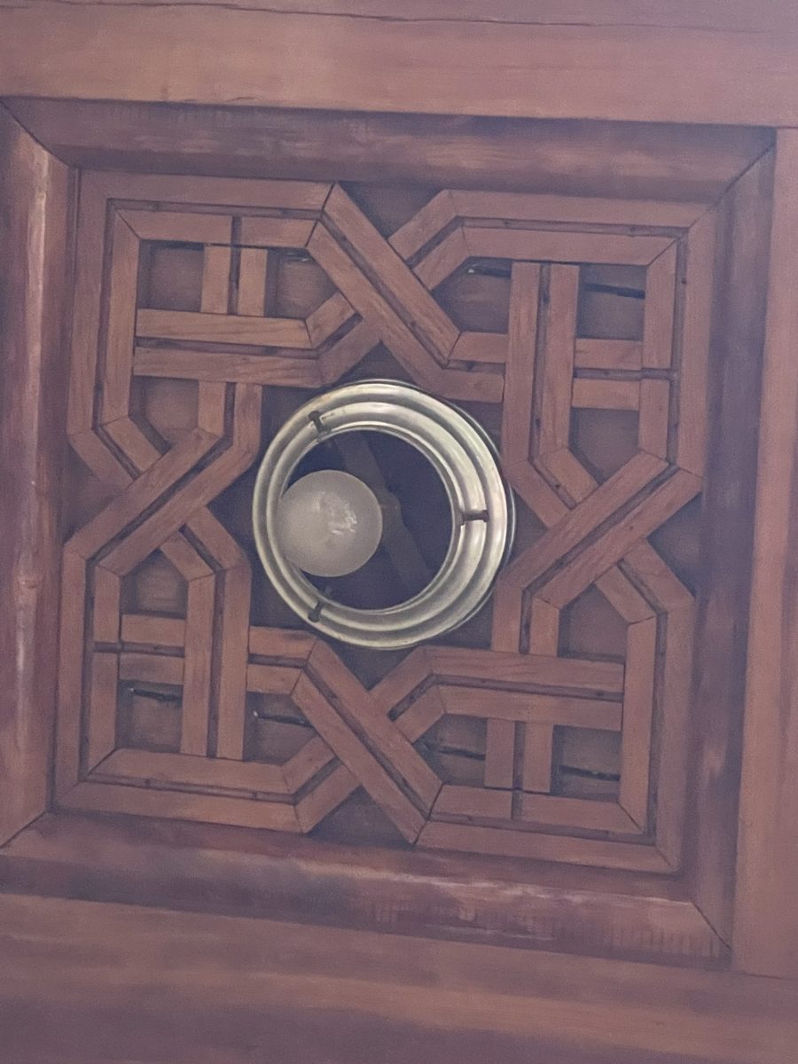 Vue du riad 8
